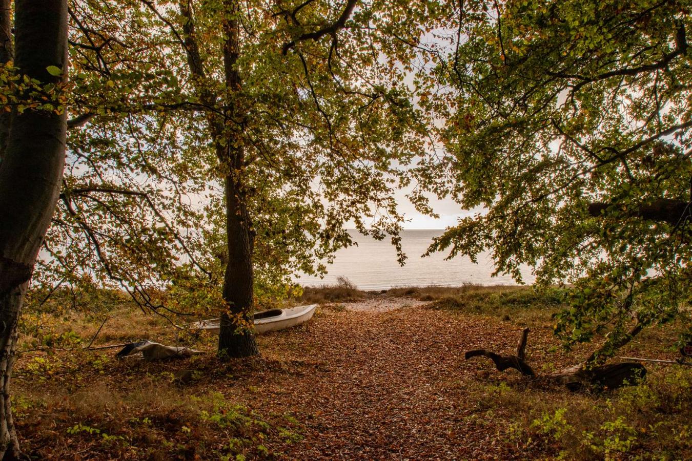 Forår ved Vemmetofte Strand