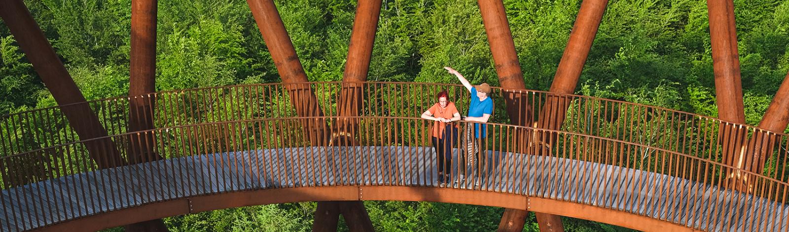 Skovtårnet gå en tur