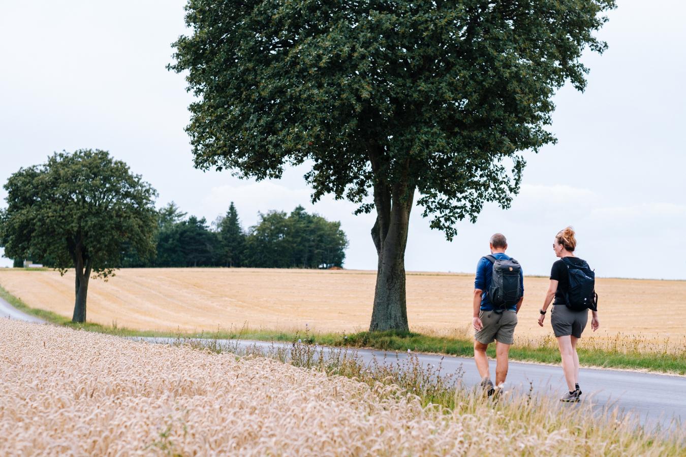 Par går tur på Camønoen