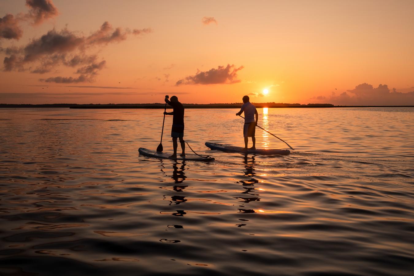 Solopgang Møns Klint