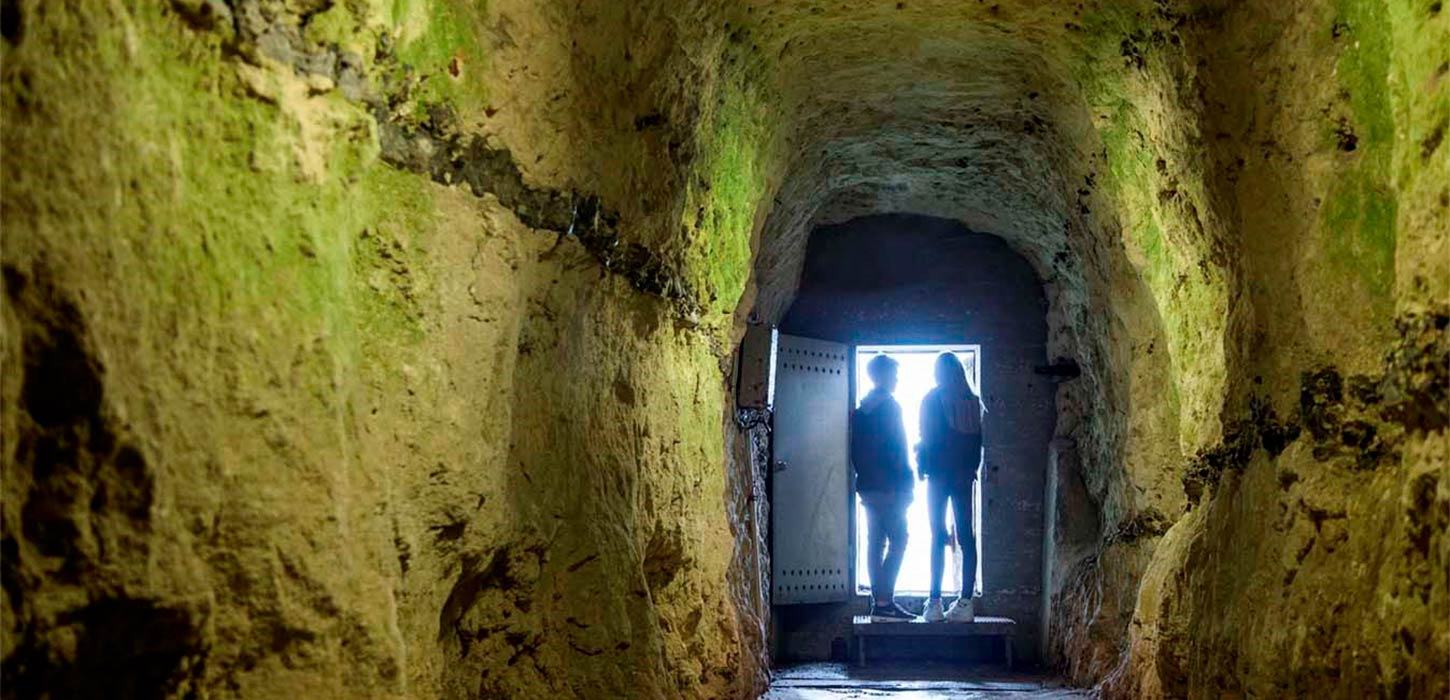 Rævegang under Stevnsfortet