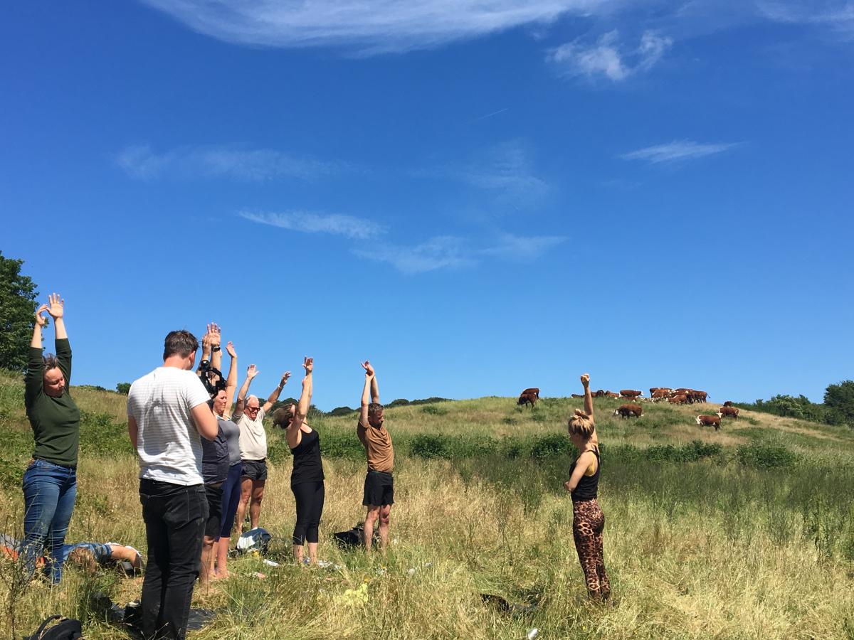 Ko yoga Møn