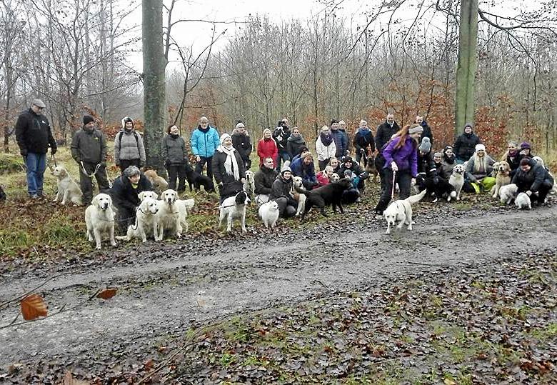 Hundetræf på Vemmetofte Strand Camping nytårsaftensdag