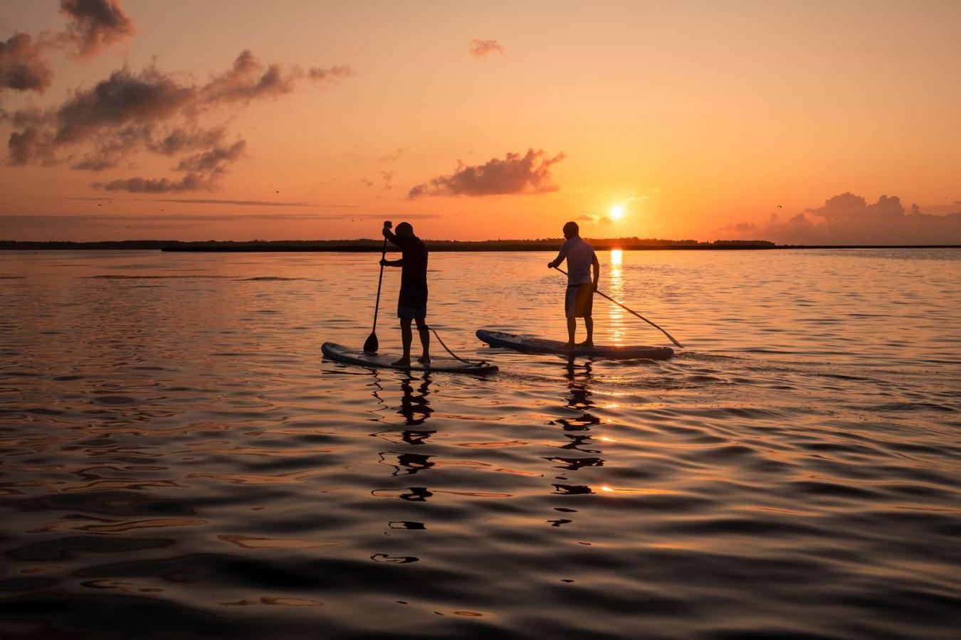 SUP Boards
