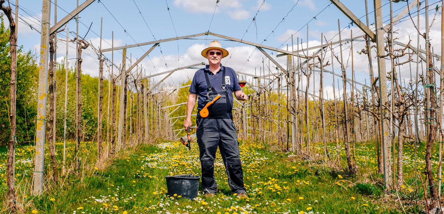 Jesper - Vetserhavegaarden vingård