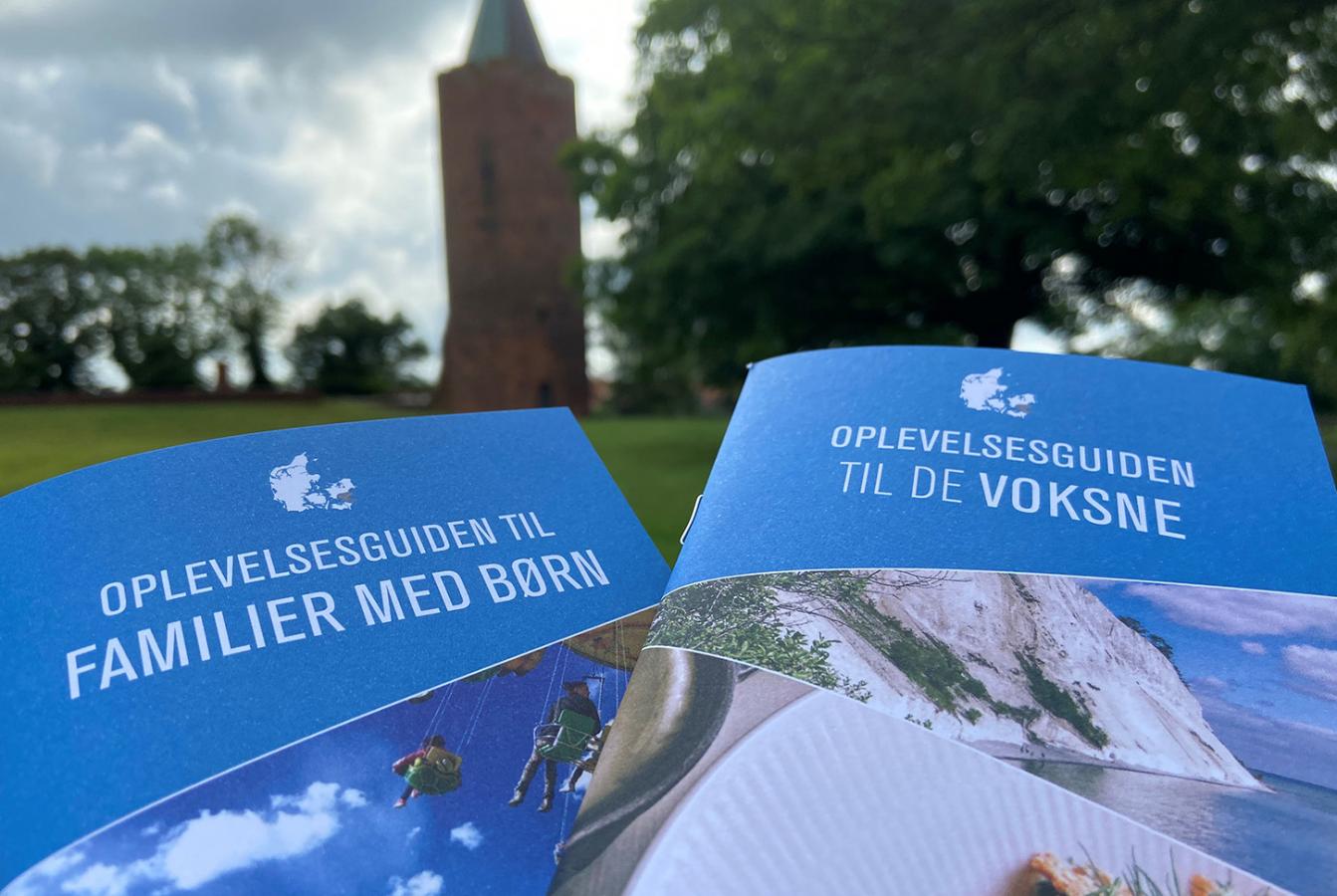 Oplevelsesguider 2020