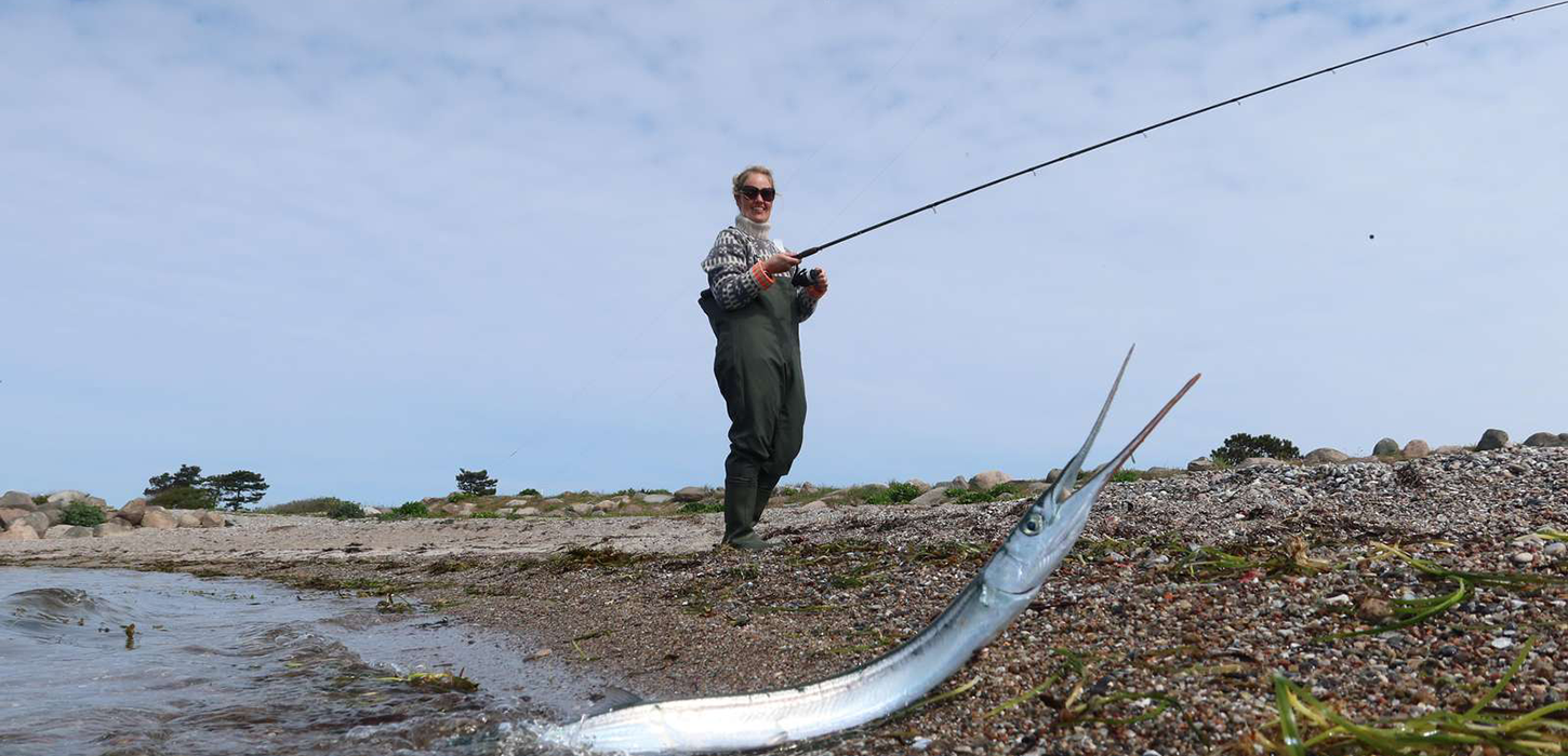 Foto: Fishing Zealand