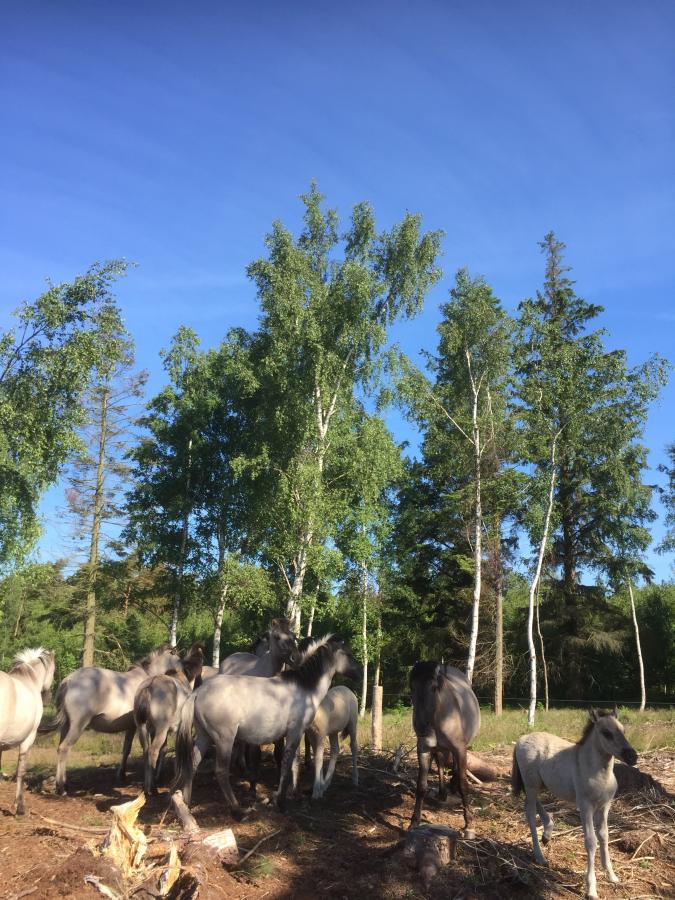 VisitLolland-Falster