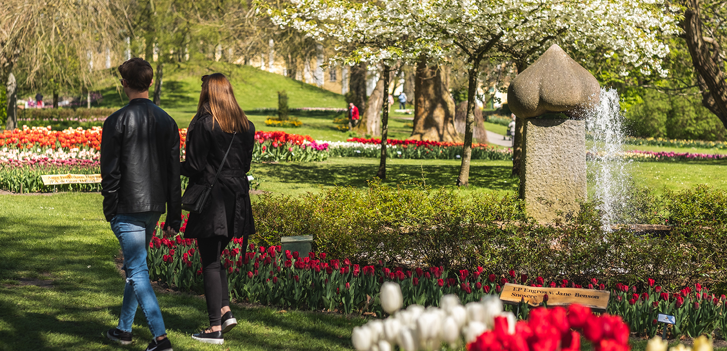 Tulipaner på Gavnø Slot