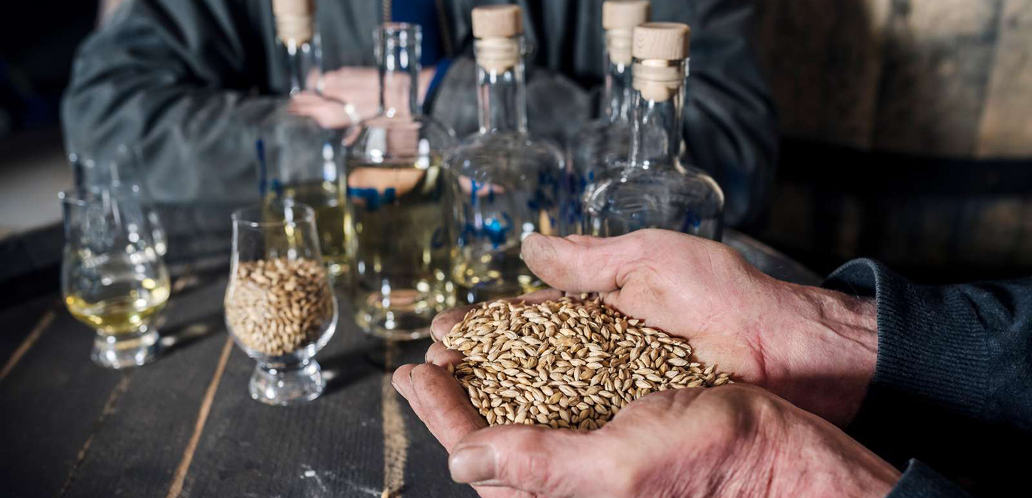 Radius Distillery 