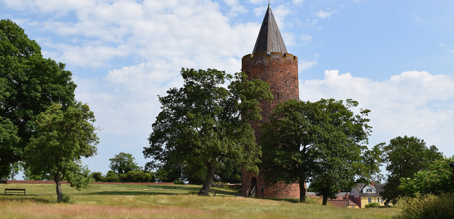 Danmarks borgcenter