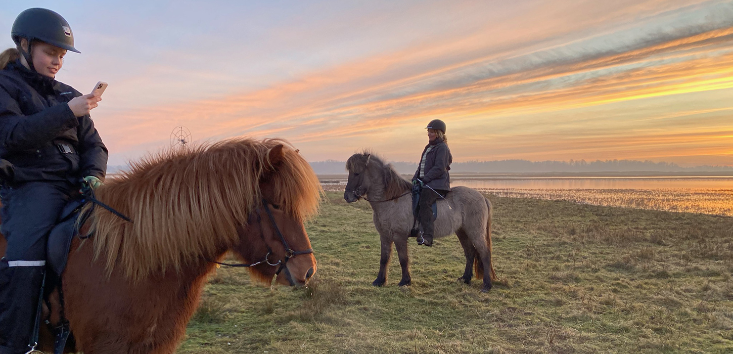 Turridning på Feddet med Guldhest