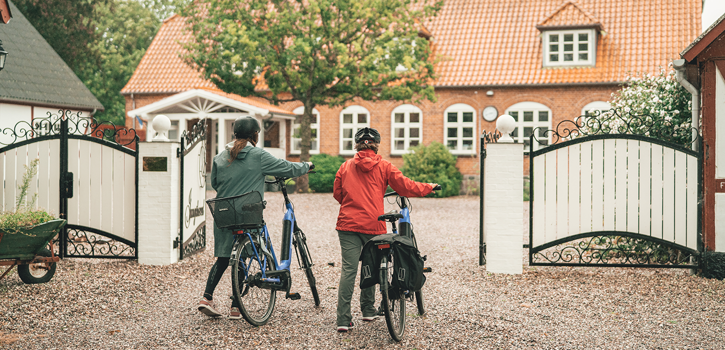 projekt - international markedsføring