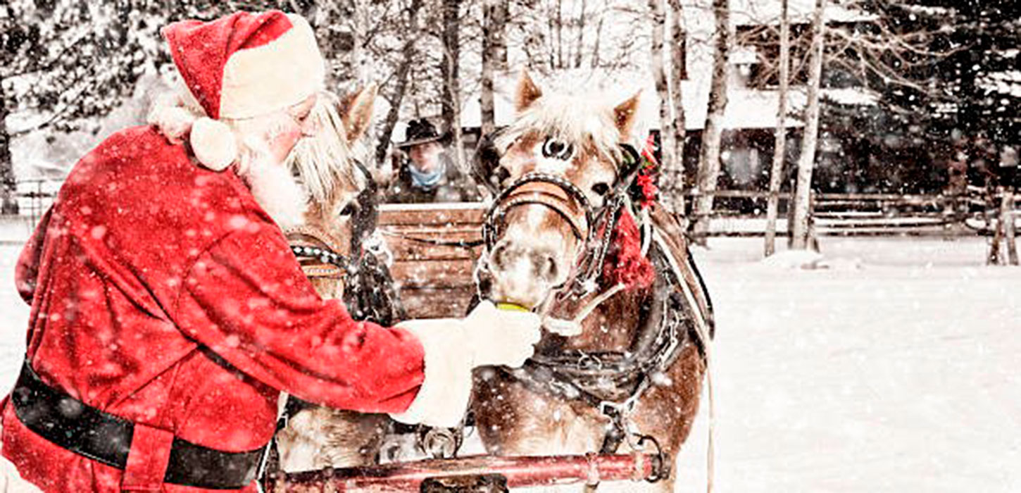 Julemanden