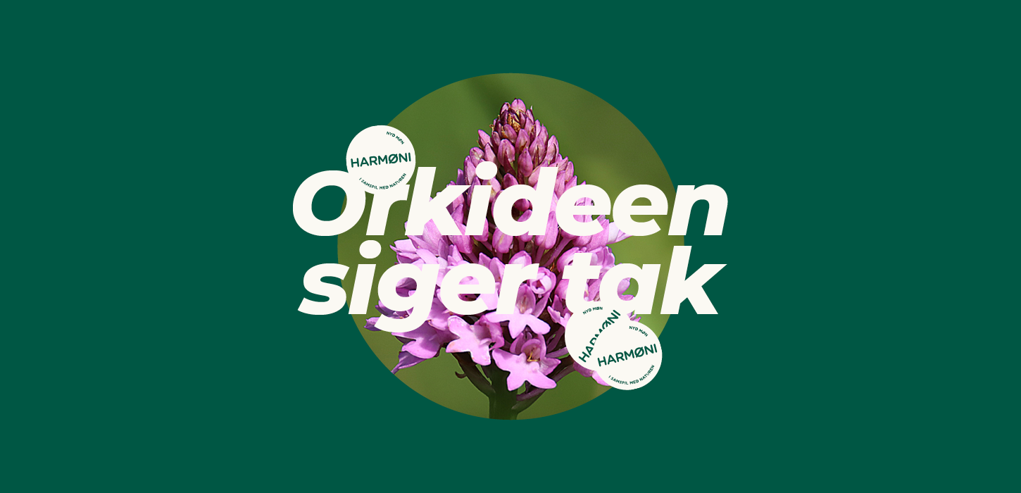 Harmøni posters