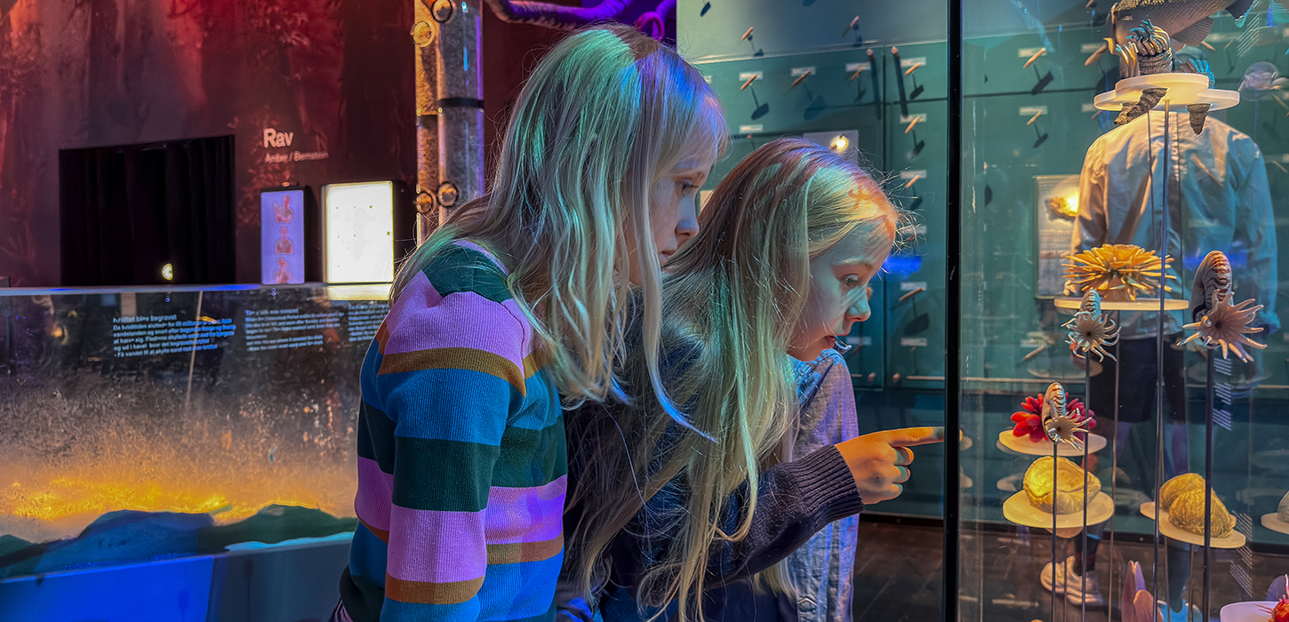 GeoCenter Møns Klint