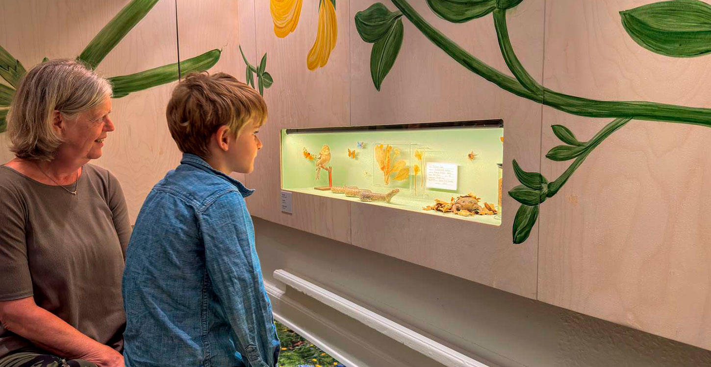 Geocenter Møns Klint