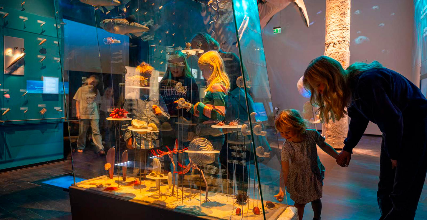 Geocenter Møns Klint