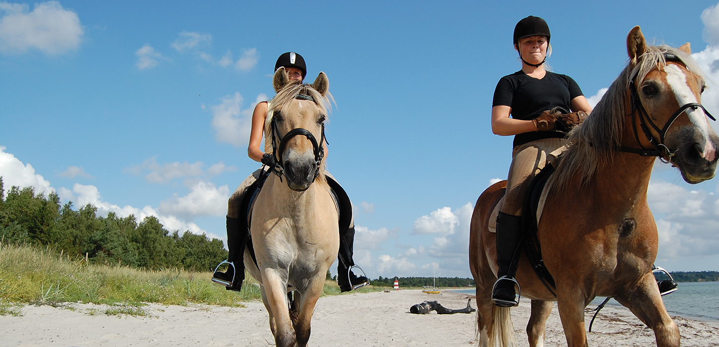 Ridning - Feddet Strand