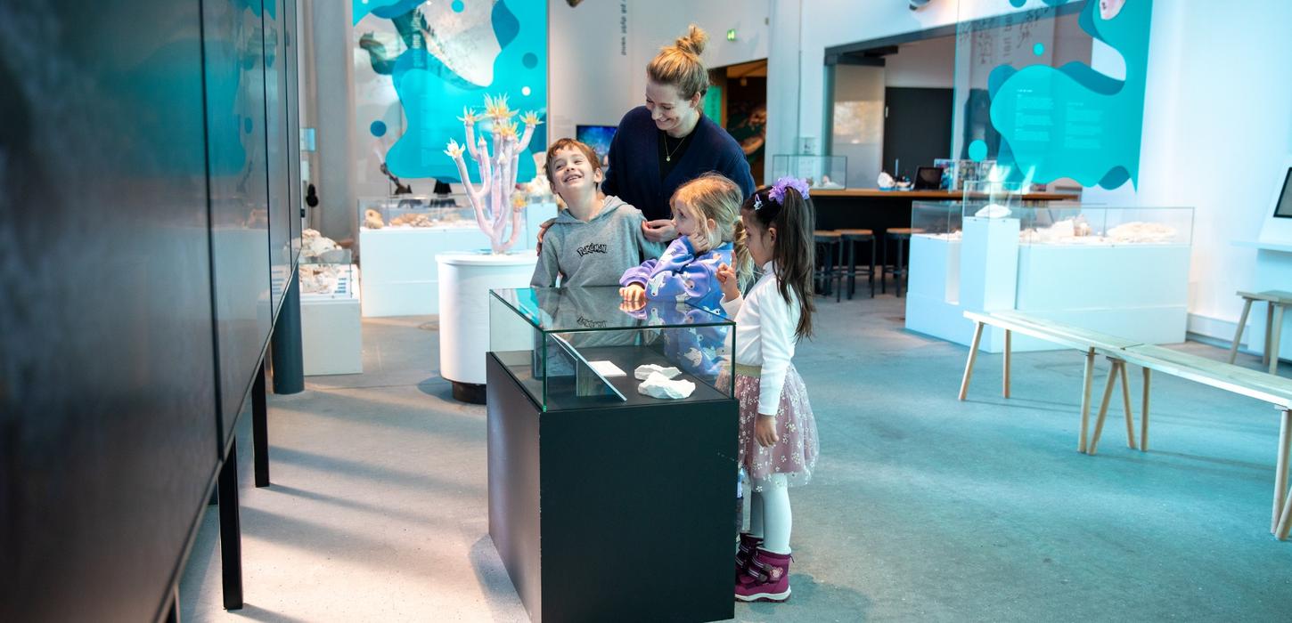 KALK - Dig in to the Pre-historic