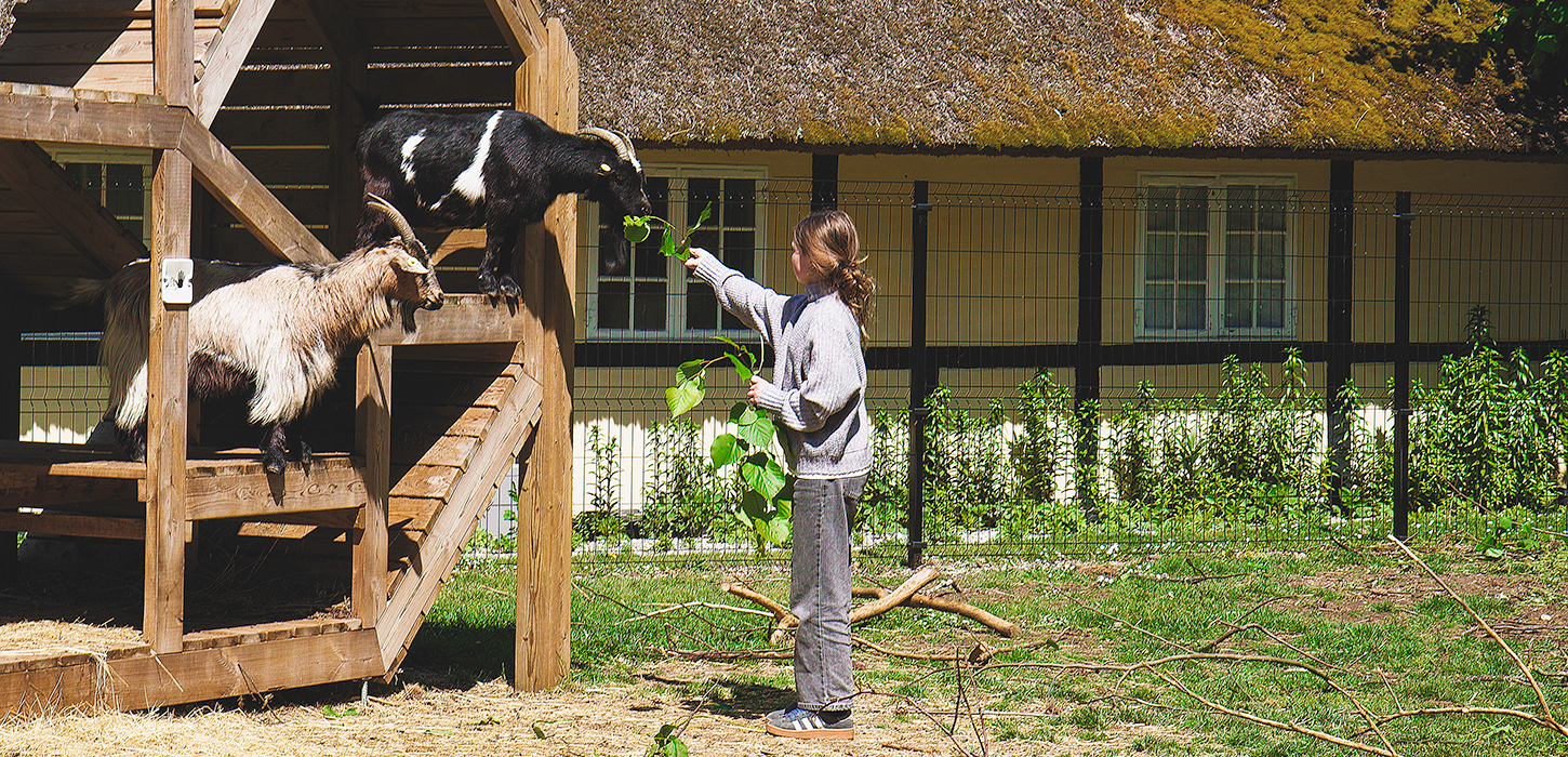 Gavnø Slot - klappegeder