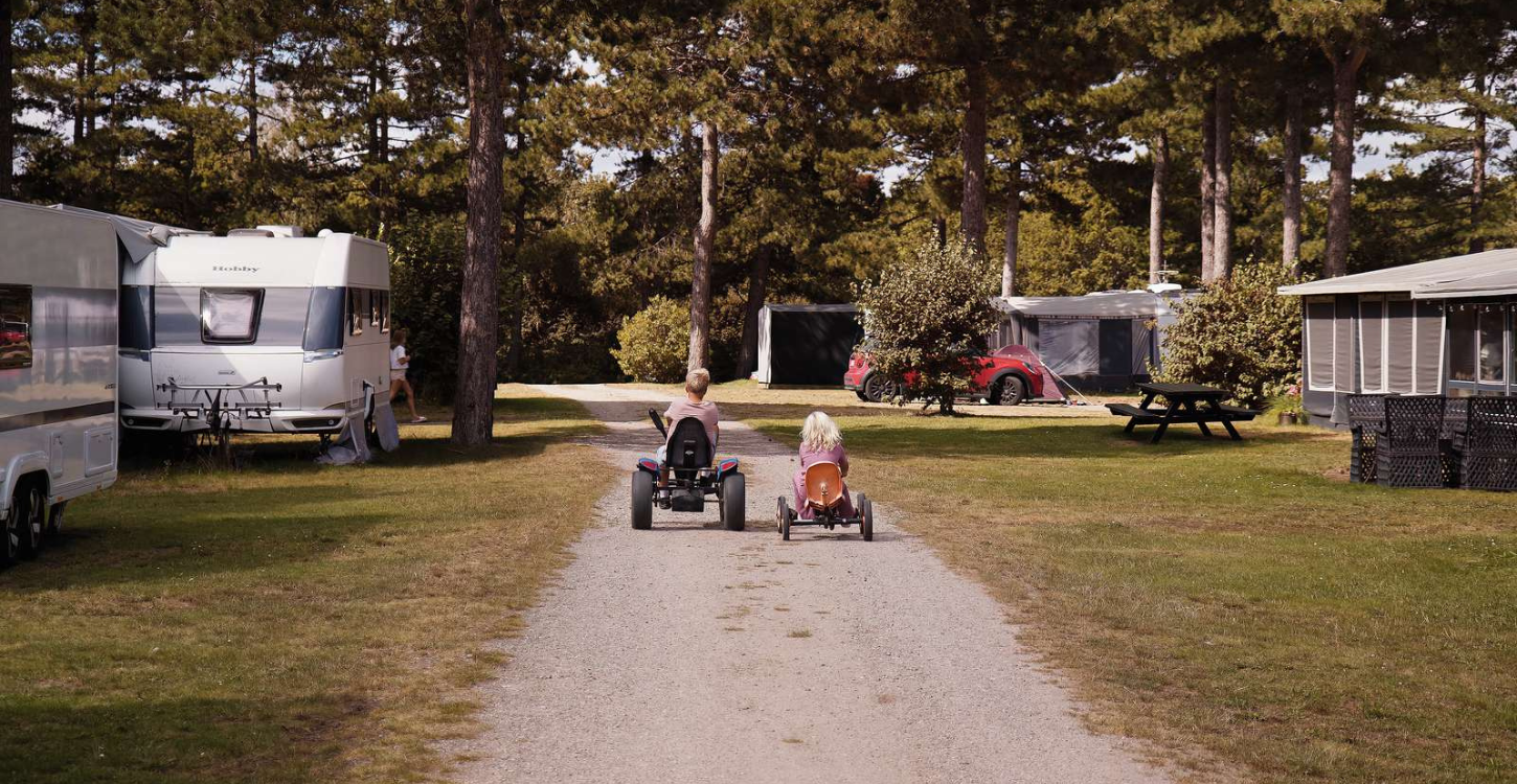 Feddet Strand Resort camping