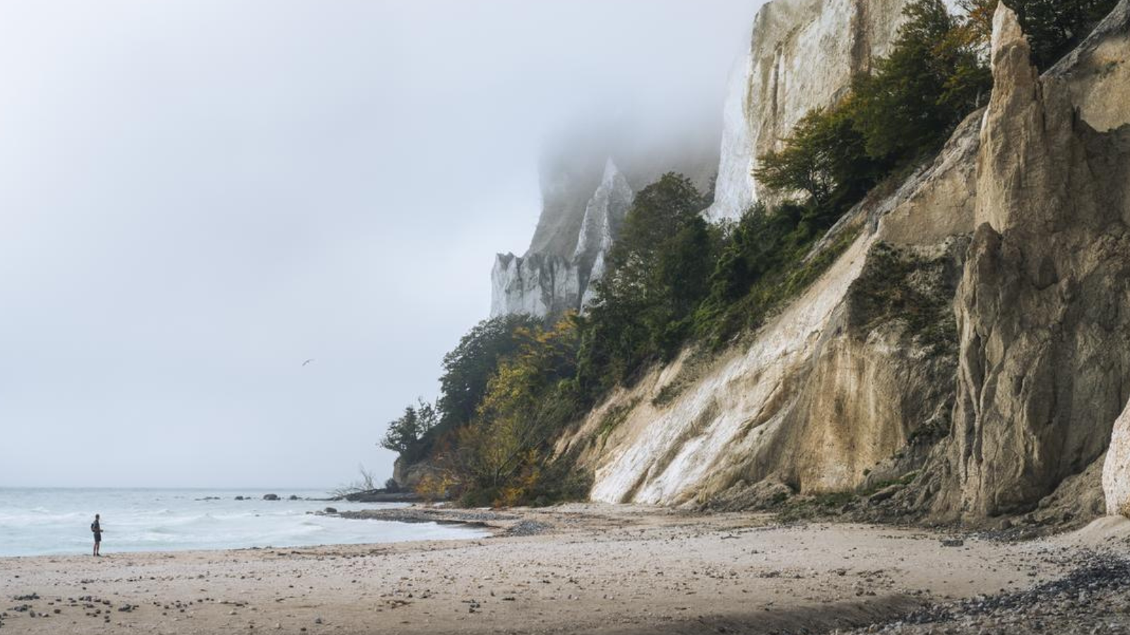 Møns Klint vinter