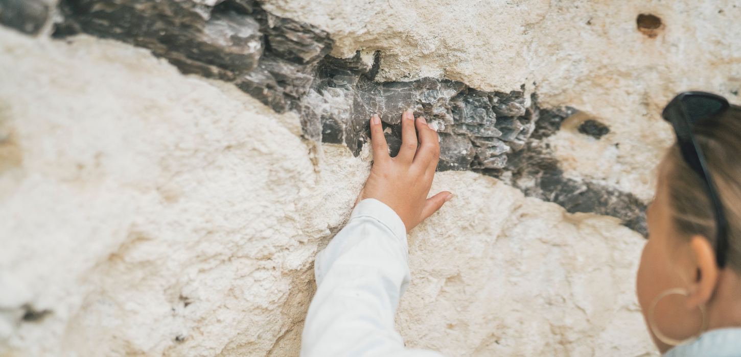 Stevns Klint fiskeler