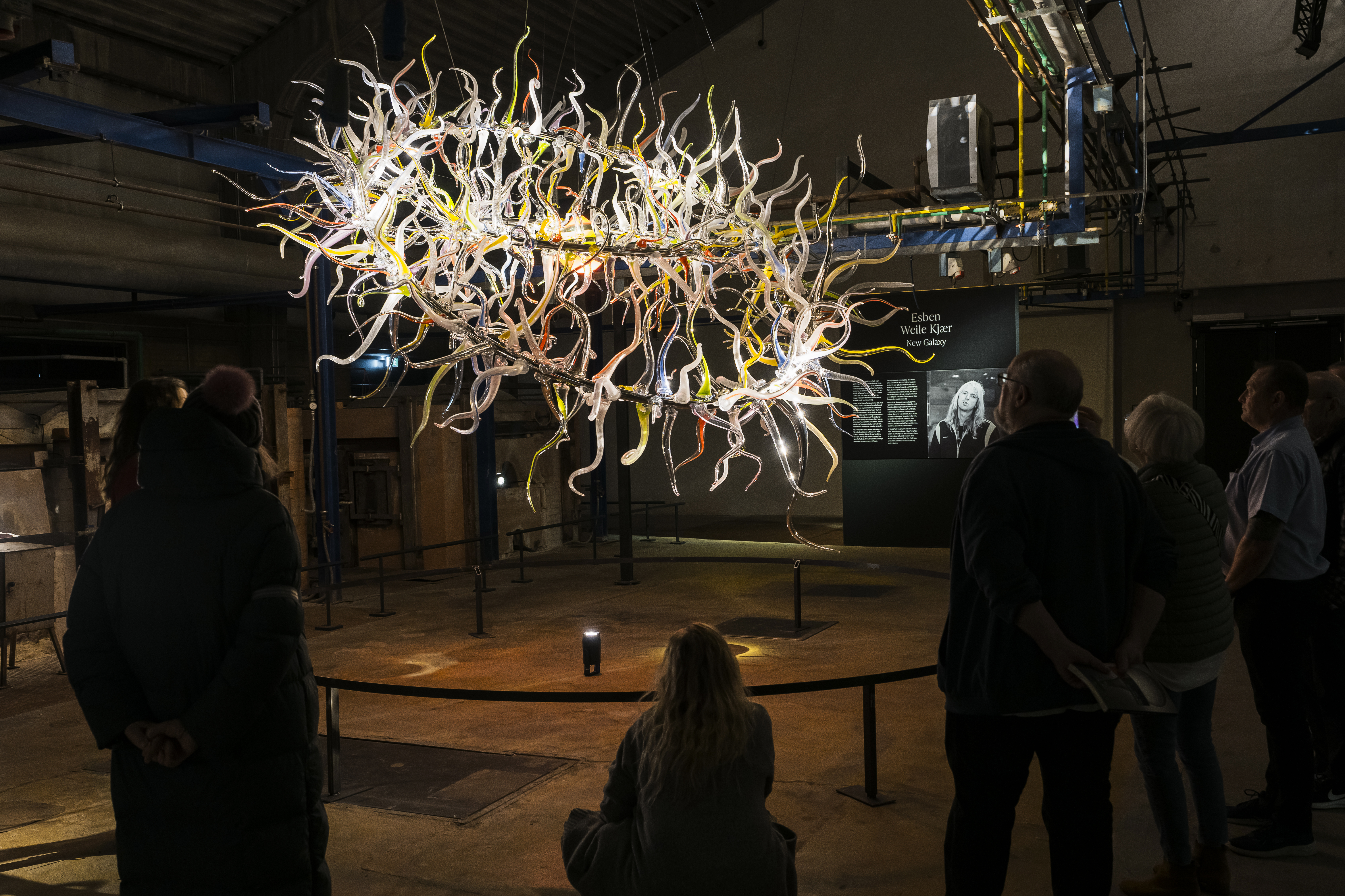 Holmegaard Værk - VENINI 2026