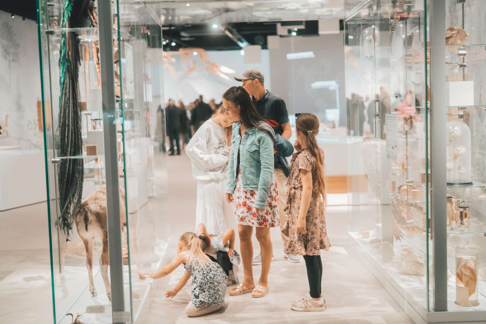 Familie på Stevns Klint Experience