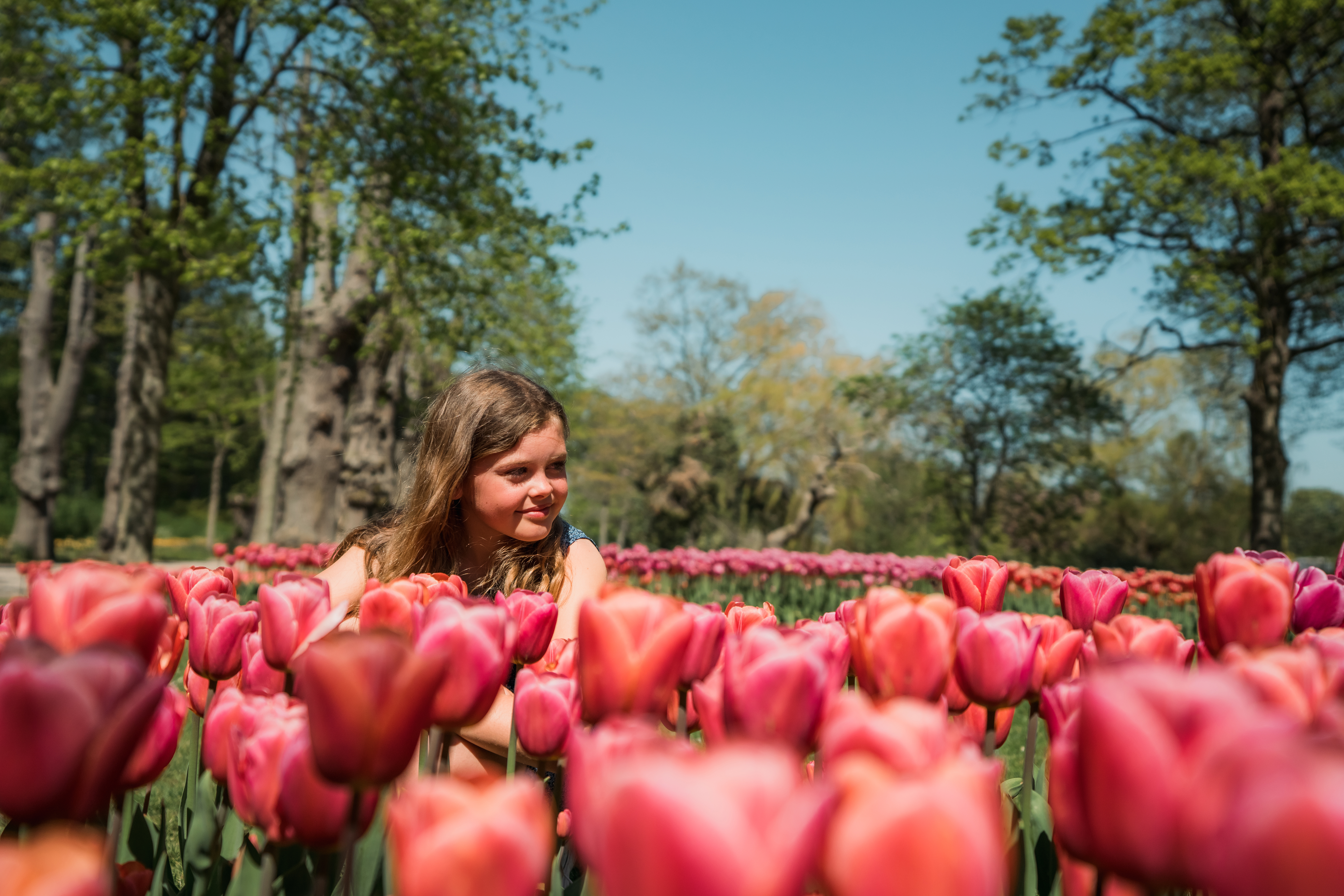 Gavnø Slot tulipanfestival