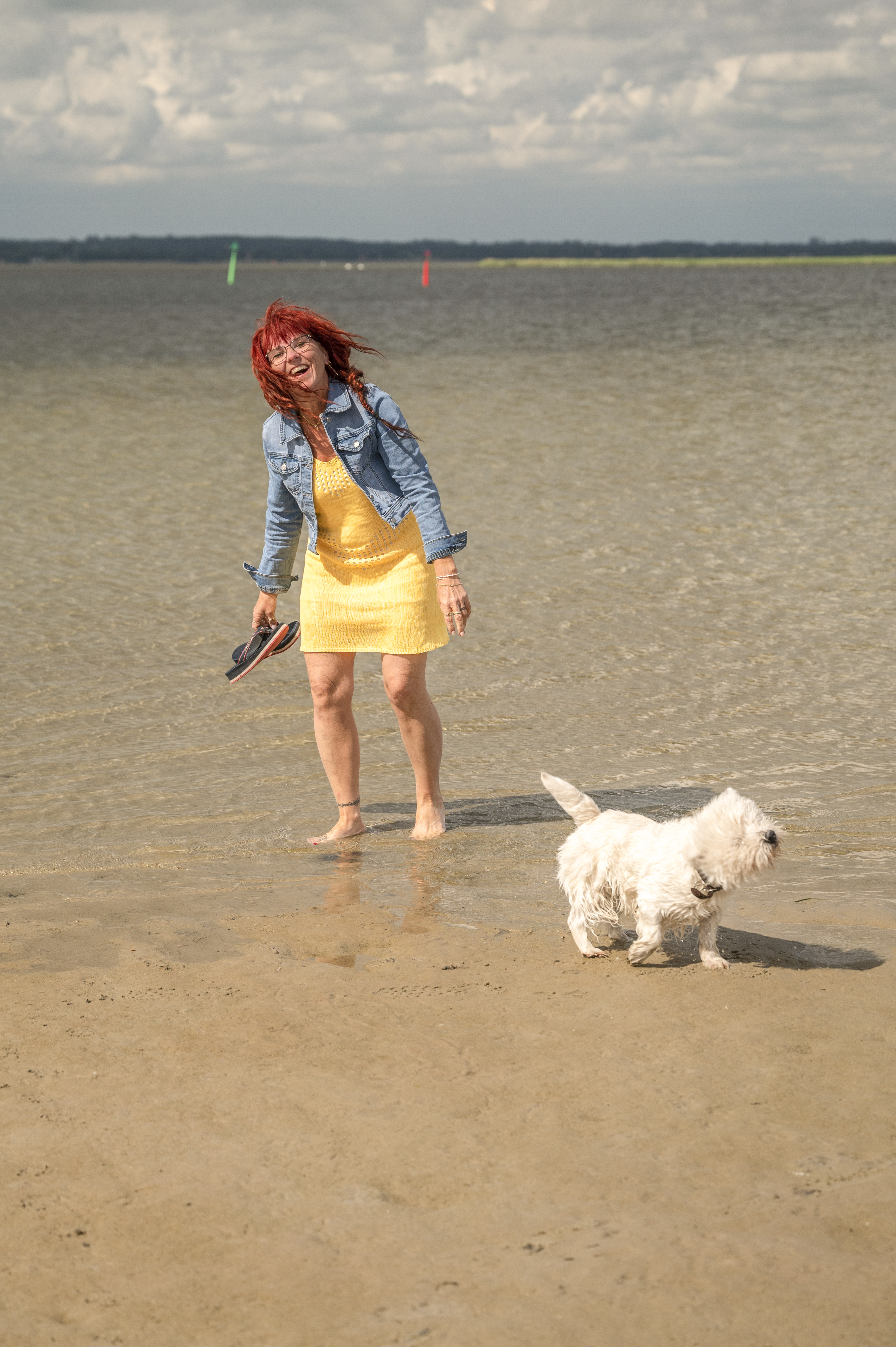 Hund på strand