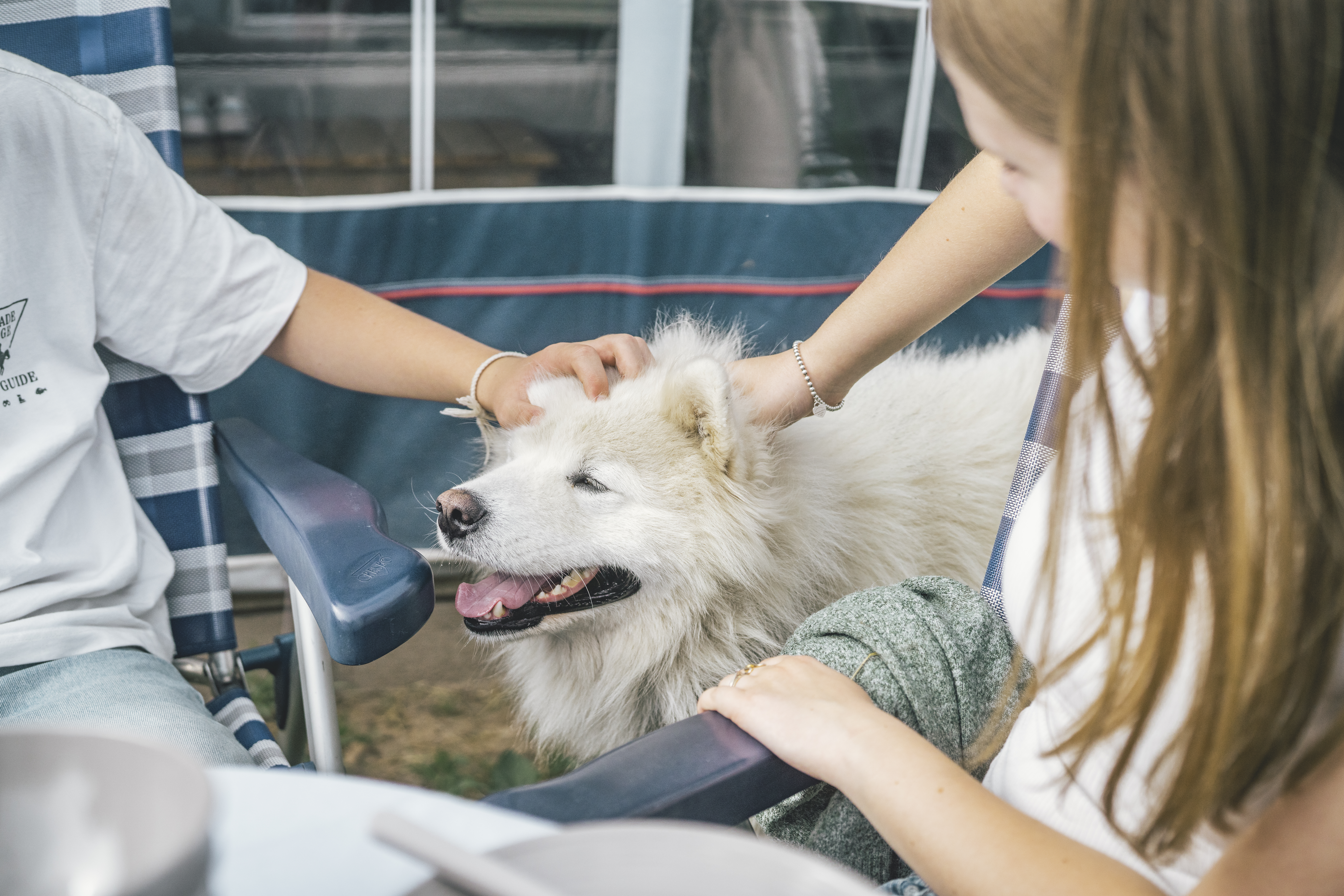 Rødvig Ferieby med hund