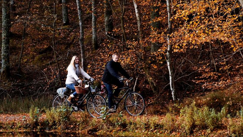 Cykelister efterår