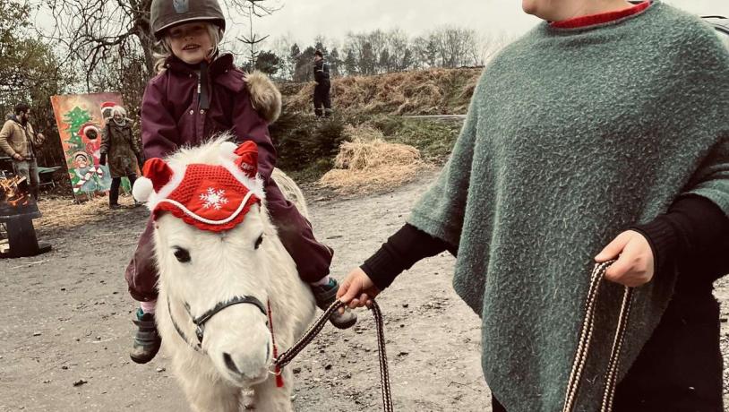 Bakkegården julemarked