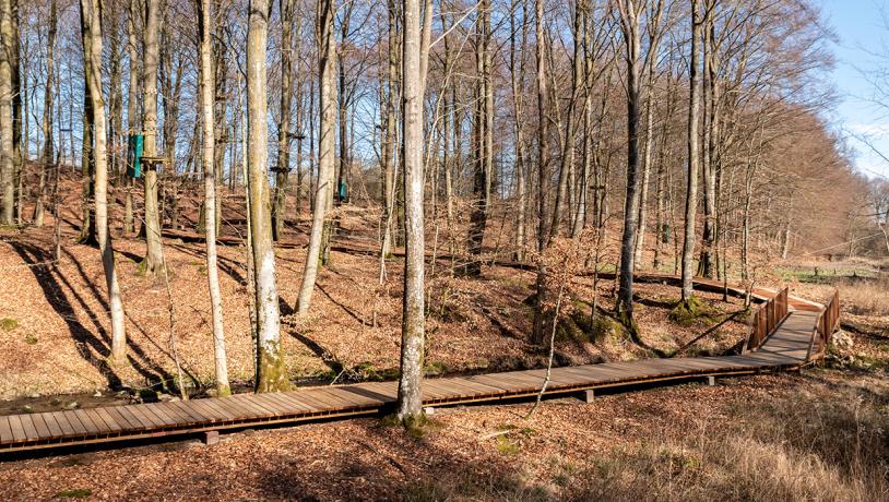 Skovtårnet Boardwalk
