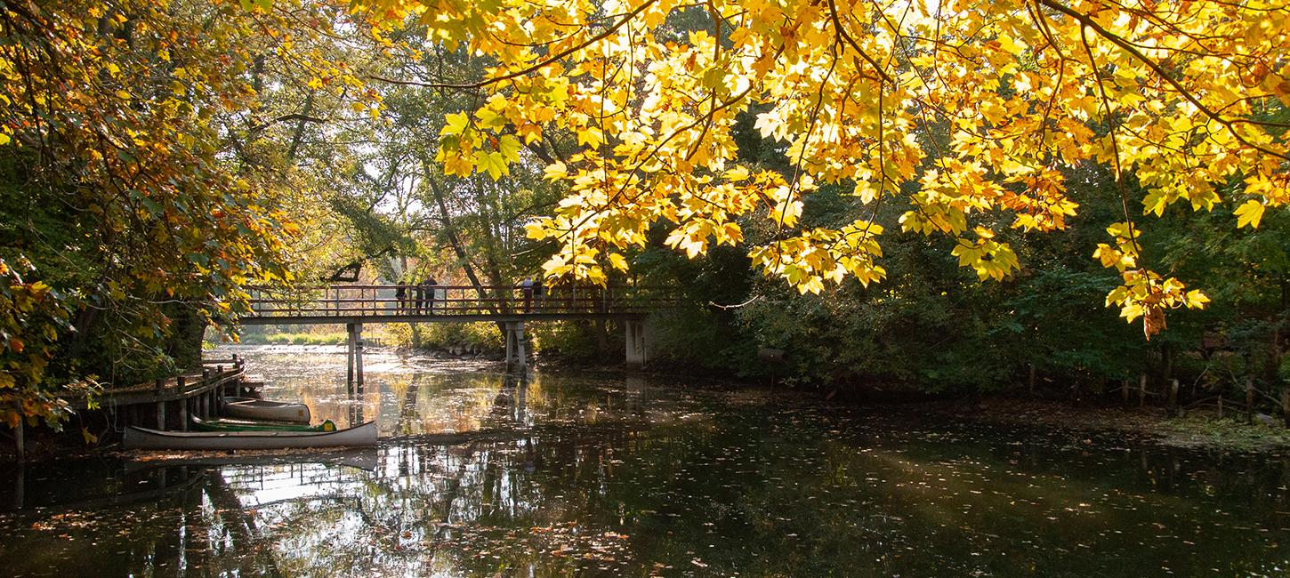 Natur ved Susåen Næstved