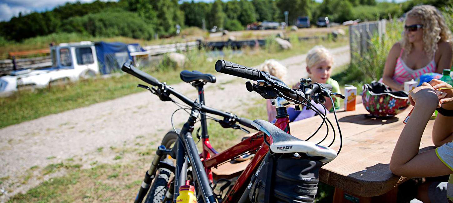 Feddet Strand Resort cykelferie familie