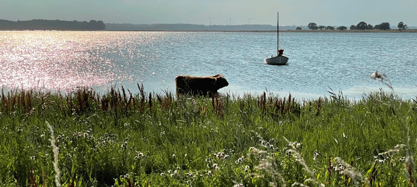 Maderne Præstø