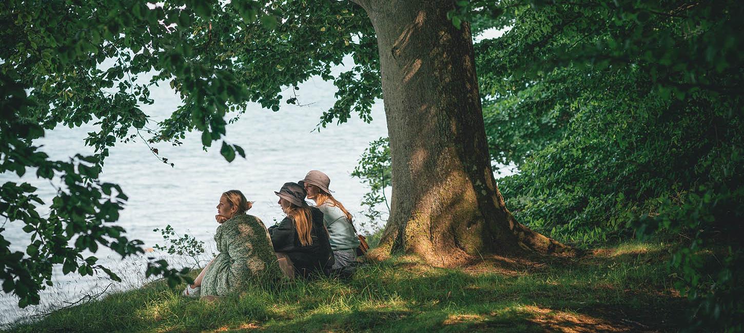 Feriepiloterne til havs - bøgeskov