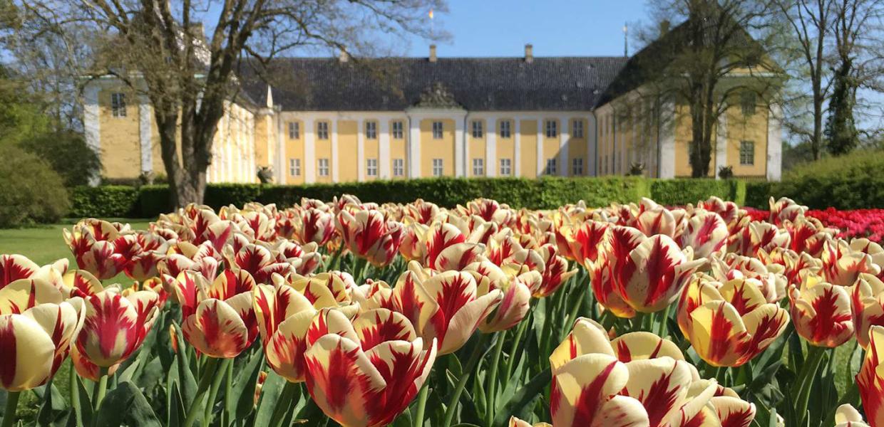 Gavnø Slot Tulipanfestival