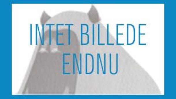 Intet billede endnu