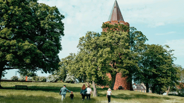 Gåsetårnet