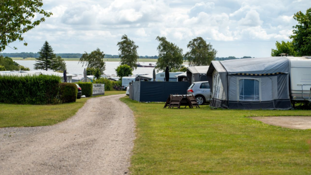 De Hvide Svaner