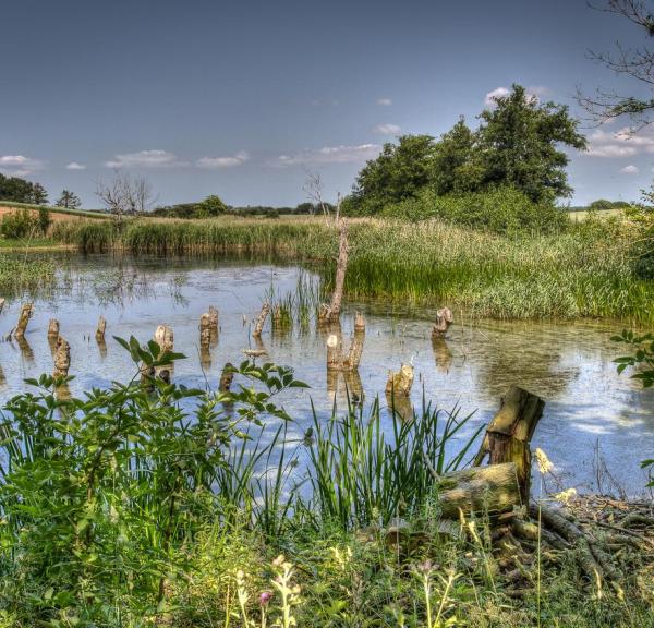 Natur i Næstved