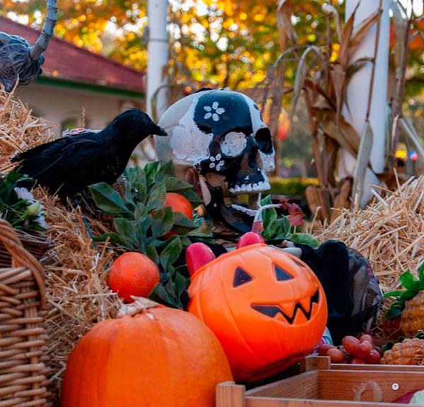 Halloween i BonBon-Land