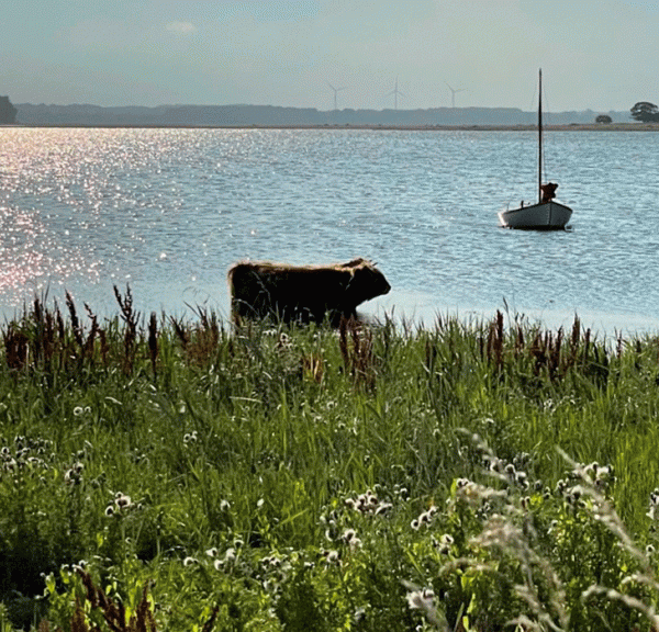 Maderne Præstø