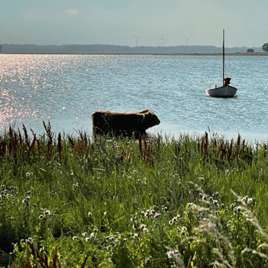 Maderne Præstø