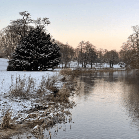 Vinter ved Susåen i Næstved