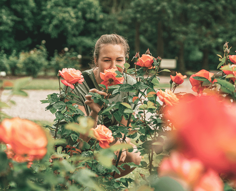 Blomster